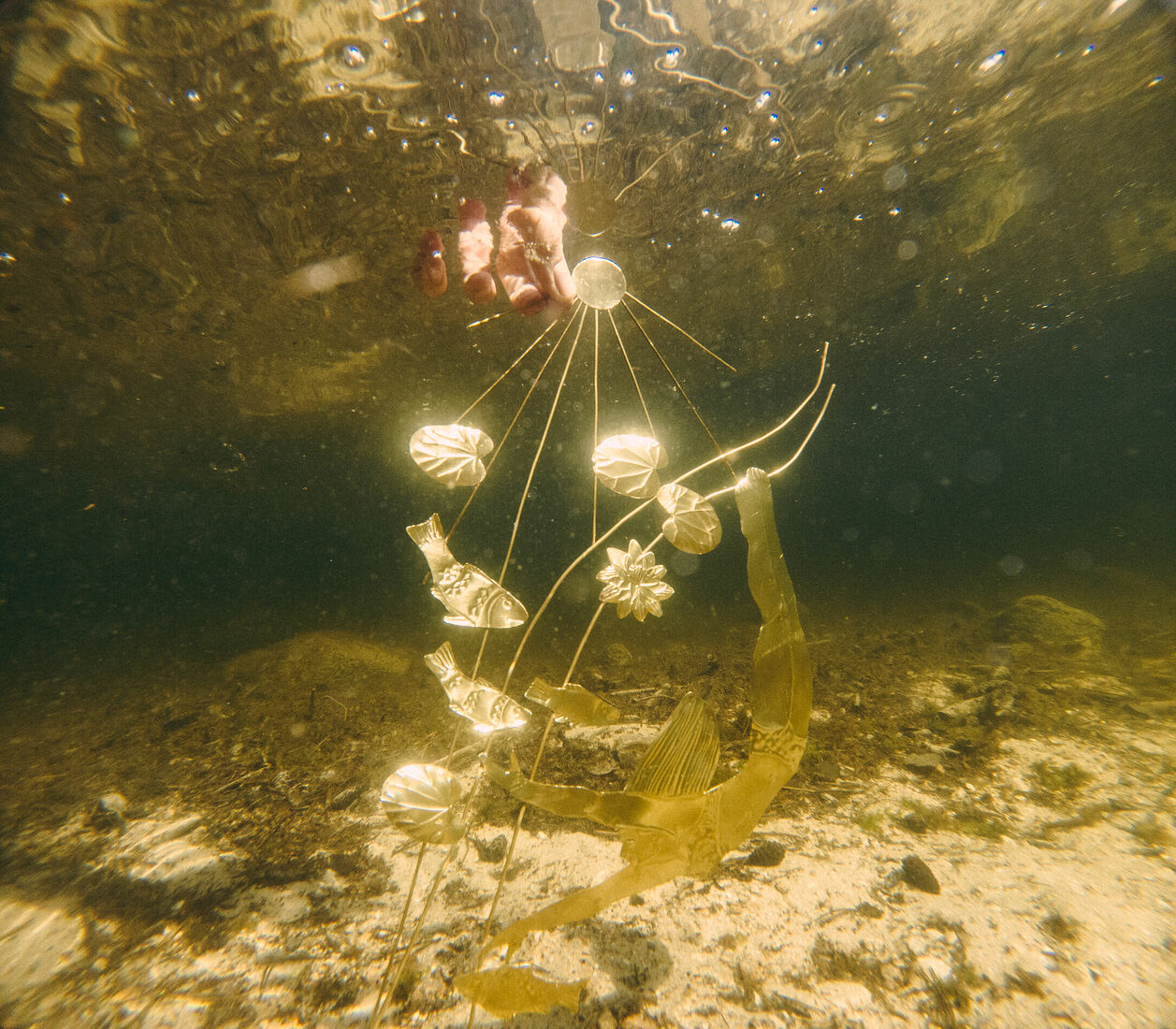 C:\DCIM\101GOPRO\GOPR2286.GPR