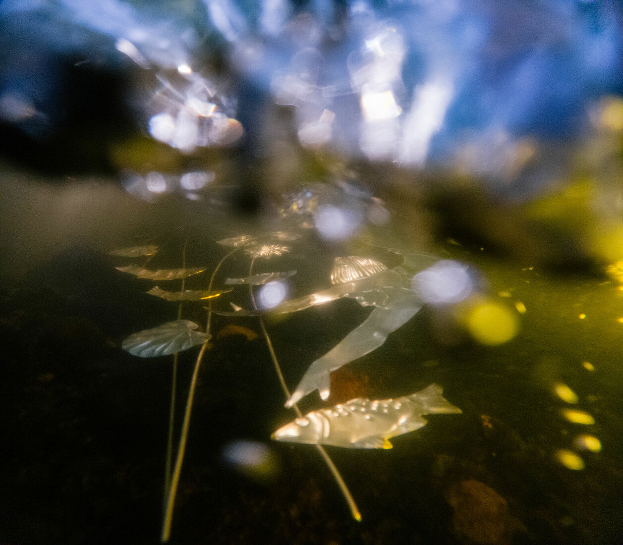 C:\DCIM\101GOPRO\GOPR2315.GPR